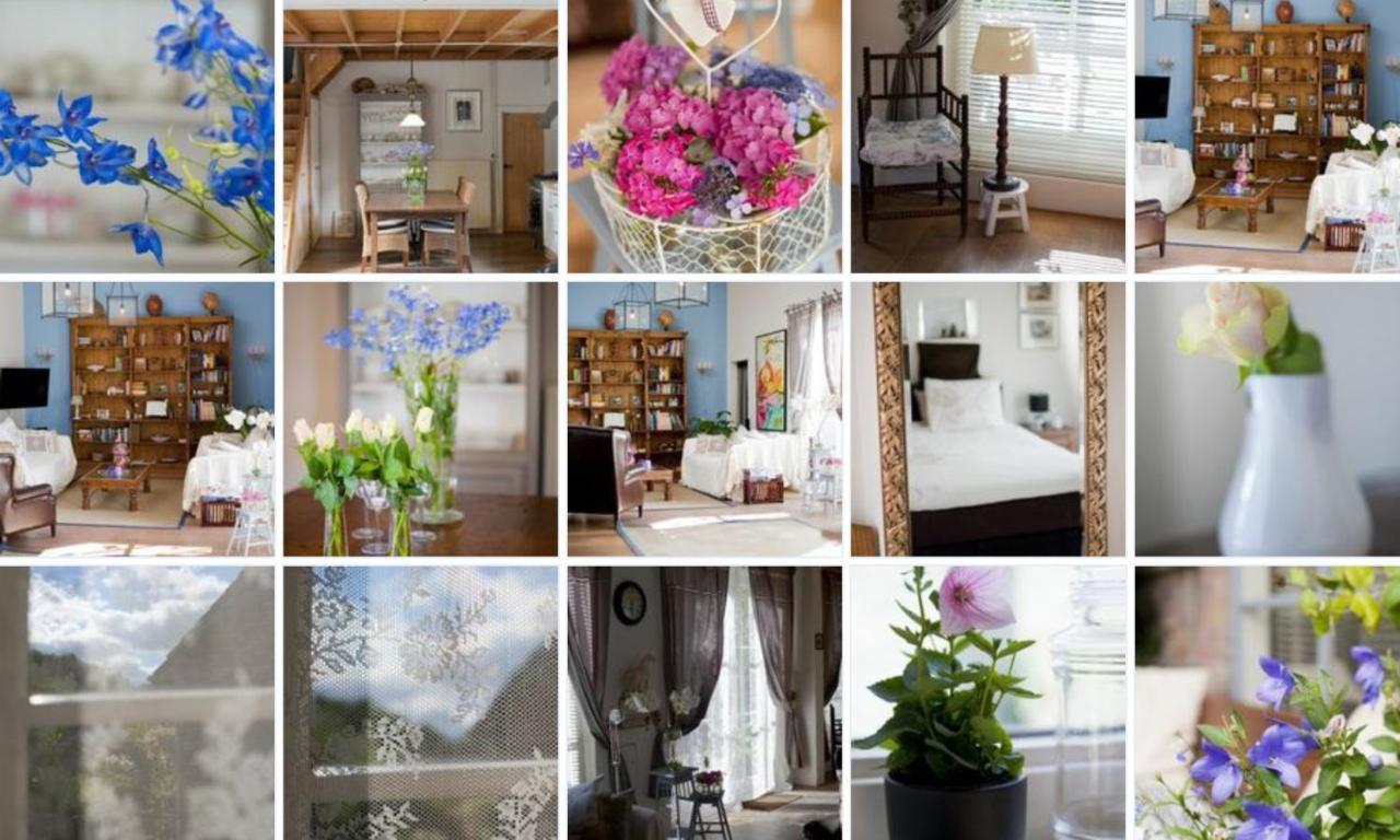 B&B 'T Aelsterbosch Eemnes Exteriér fotografie